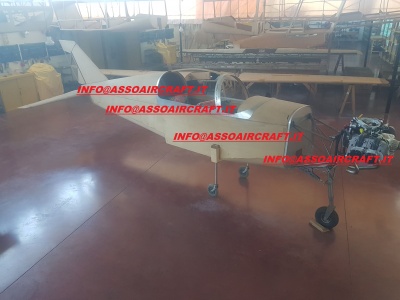 Vente ULM Asso V-Xray E Asso X